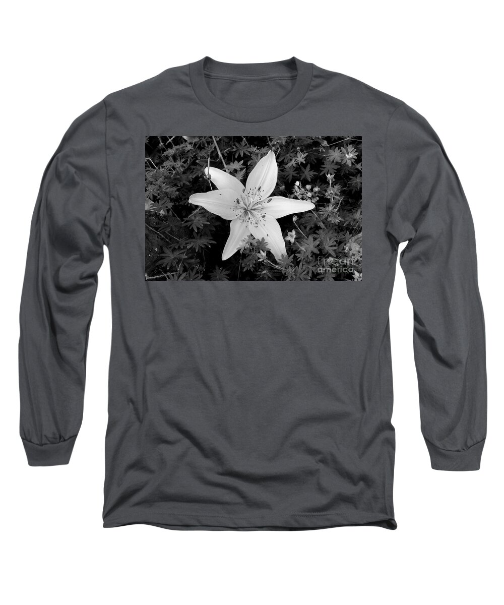 Flower Long Sleeve T-Shirt featuring the photograph Arms wide open by Marie Neder