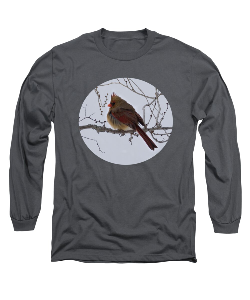 Northern Cardinal Long Sleeve T-Shirt featuring the photograph Female Northern Cardinal by Holden The Moment