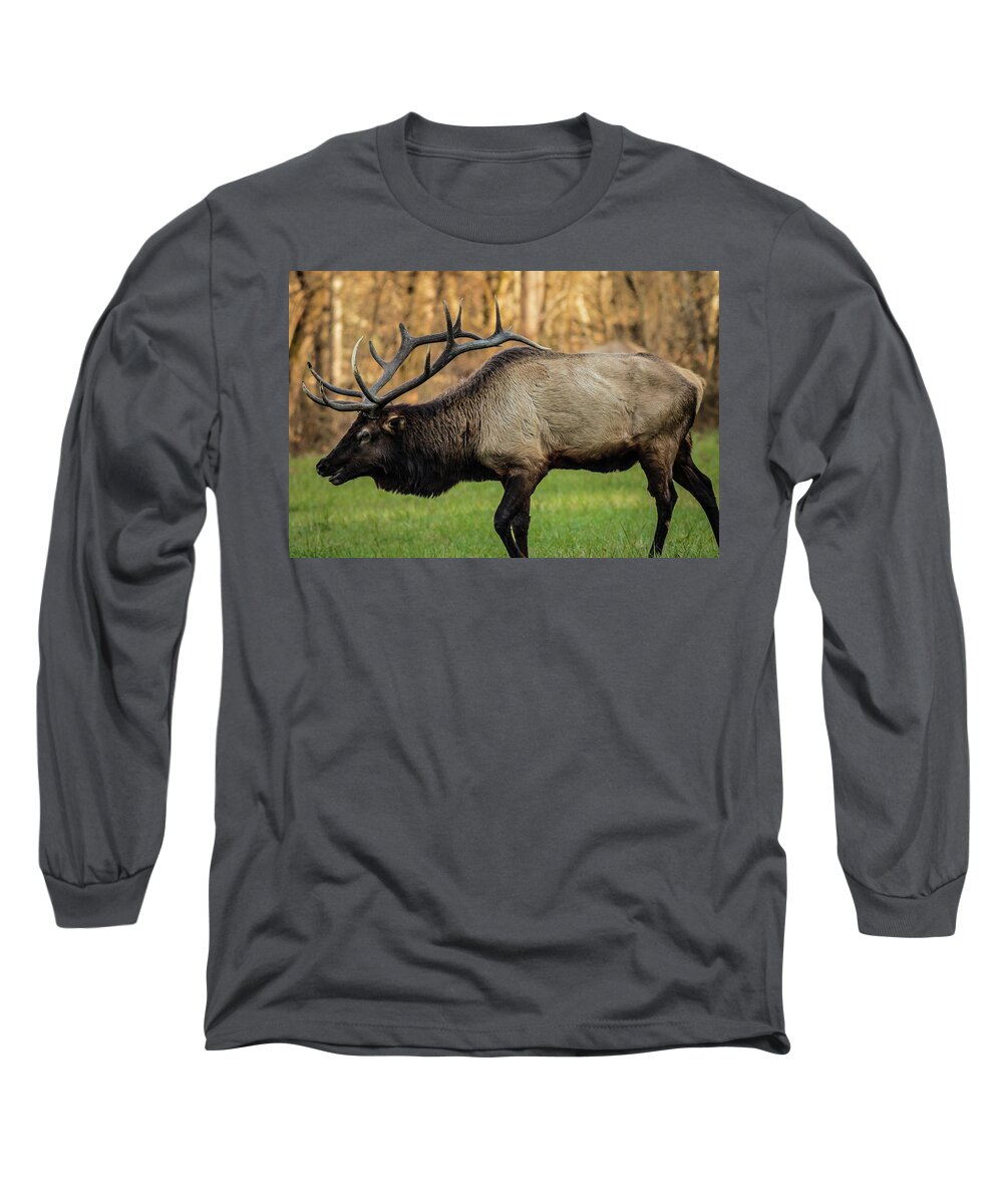 Elk Long Sleeve T-Shirt featuring the photograph Elk in the Smokies by George Kenhan