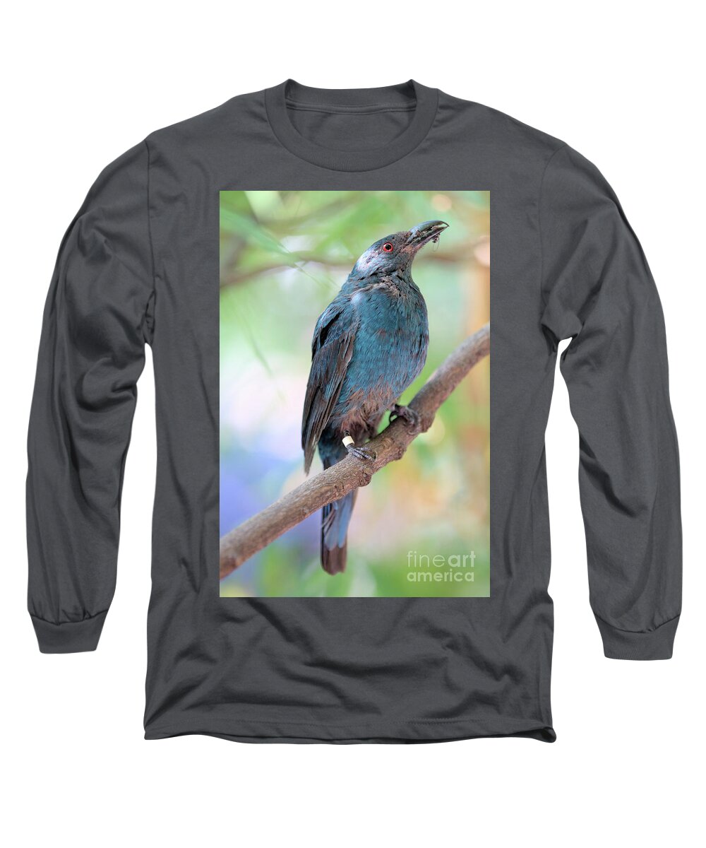 Bird Long Sleeve T-Shirt featuring the photograph Asian Fairy Bluebird by Baggieoldboy