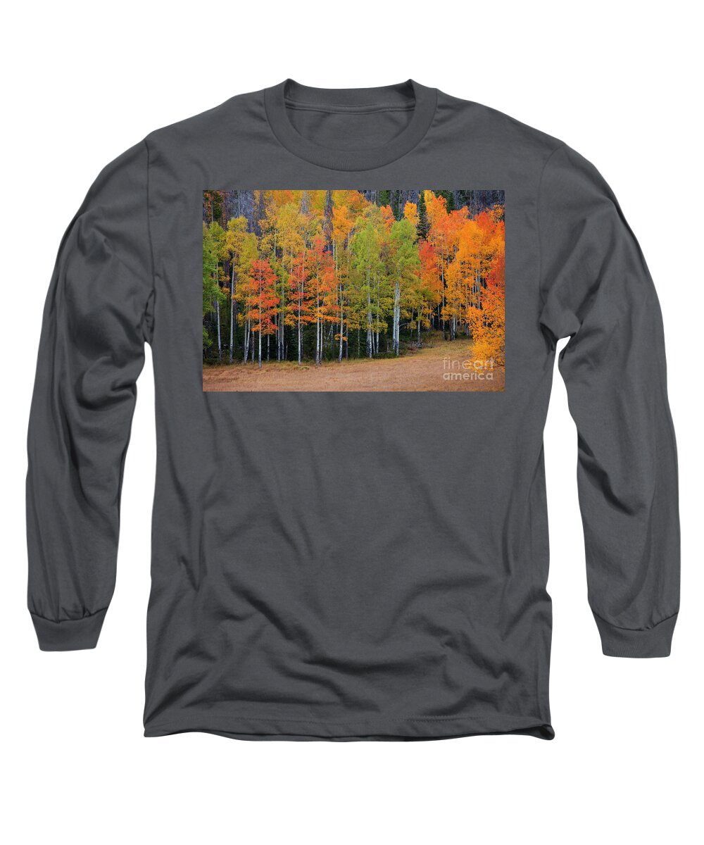 Aspen Long Sleeve T-Shirt featuring the photograph Aspen Color by Timothy Johnson