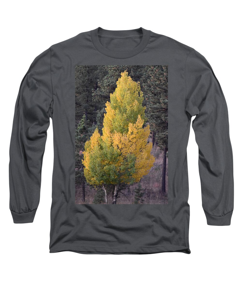 Aspen Long Sleeve T-Shirt featuring the photograph Aspen Tree Fall Colors CO by Margarethe Binkley