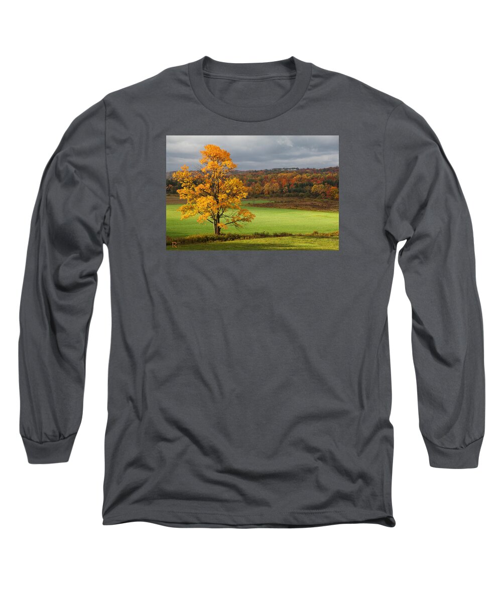 Autumn Long Sleeve T-Shirt featuring the photograph Autumn Colors by Robert Och