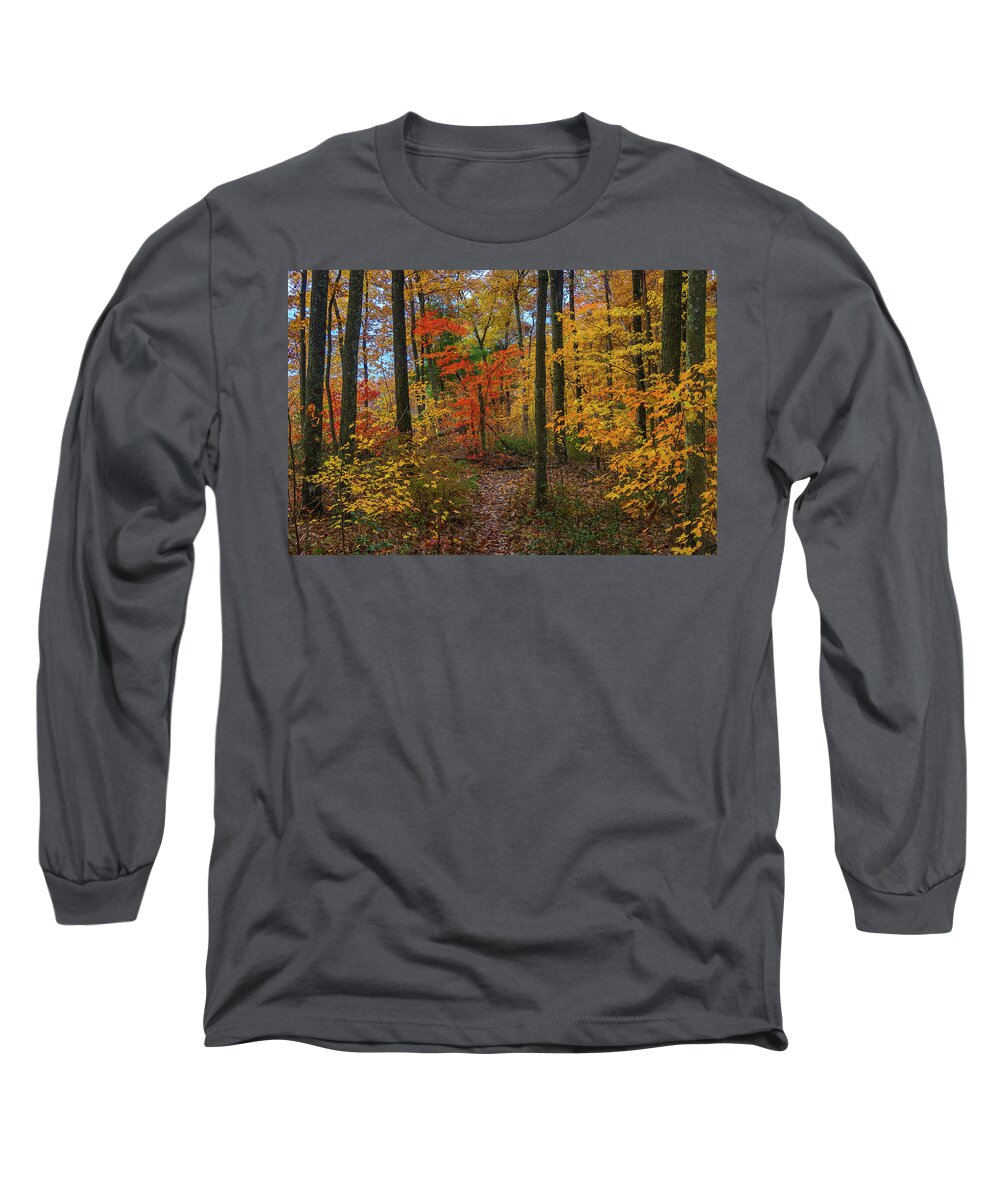 Forest Long Sleeve T-Shirt featuring the photograph Autumn forest hike by Ulrich Burkhalter