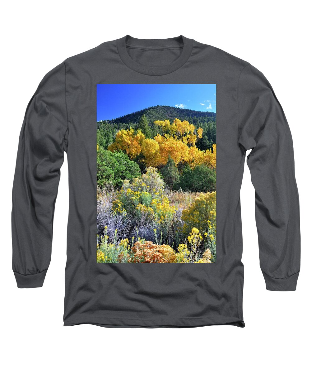 Landscape Long Sleeve T-Shirt featuring the photograph Autumn In The Canyon by Ron Cline