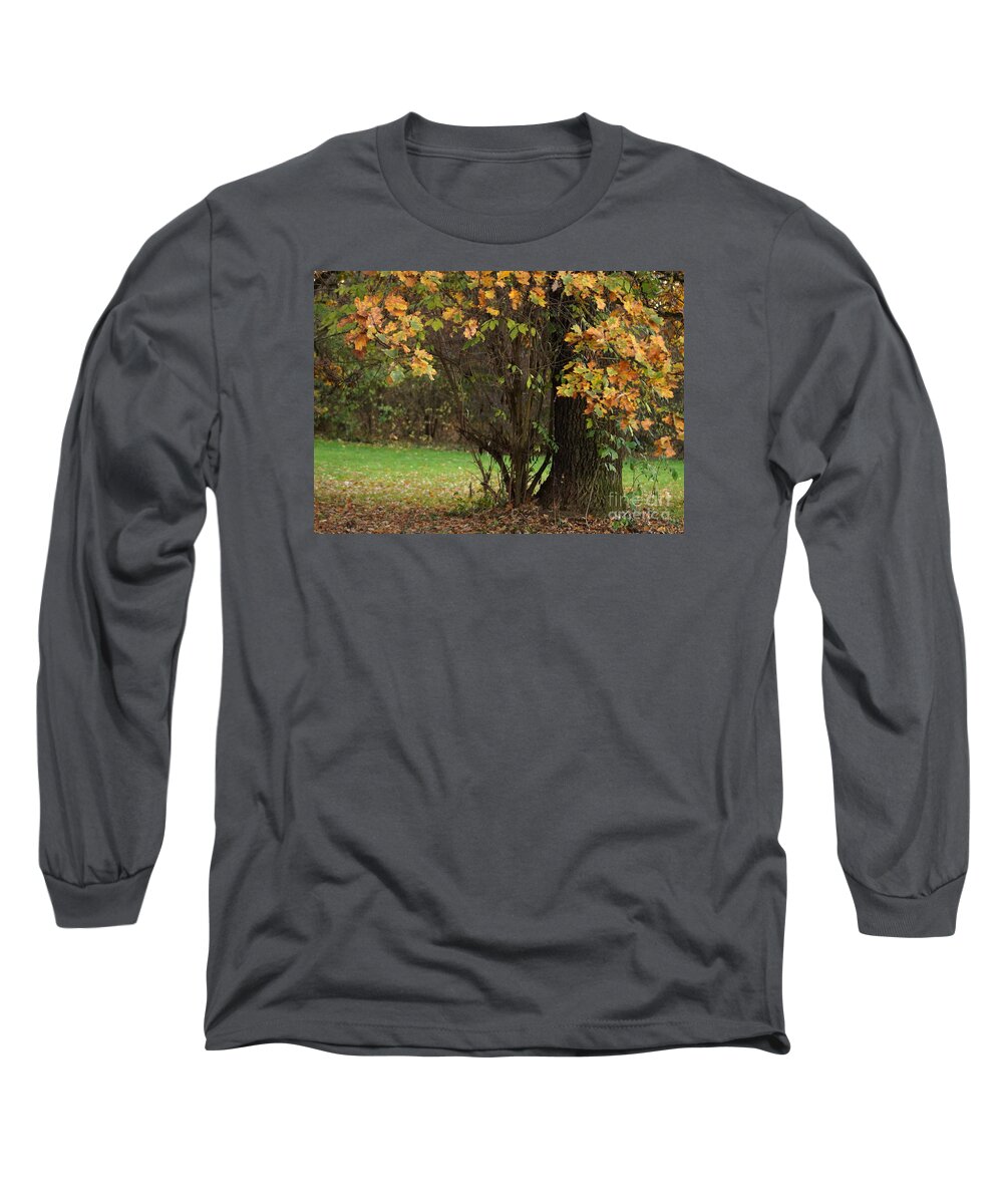 Prott Long Sleeve T-Shirt featuring the photograph Autumn Tree 2 by Rudi Prott