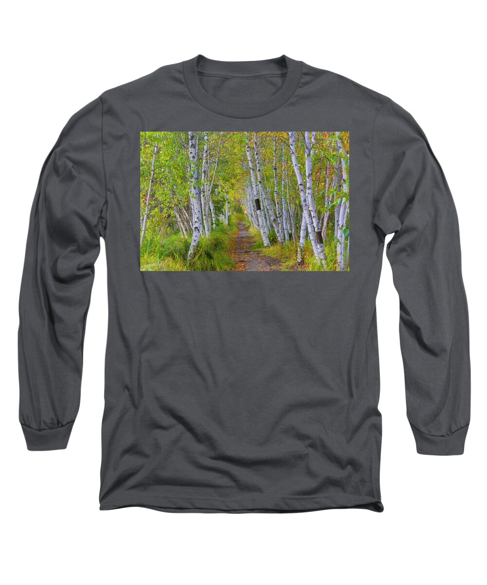 Birch Long Sleeve T-Shirt featuring the photograph Avenue of Birches by Nancy Dunivin