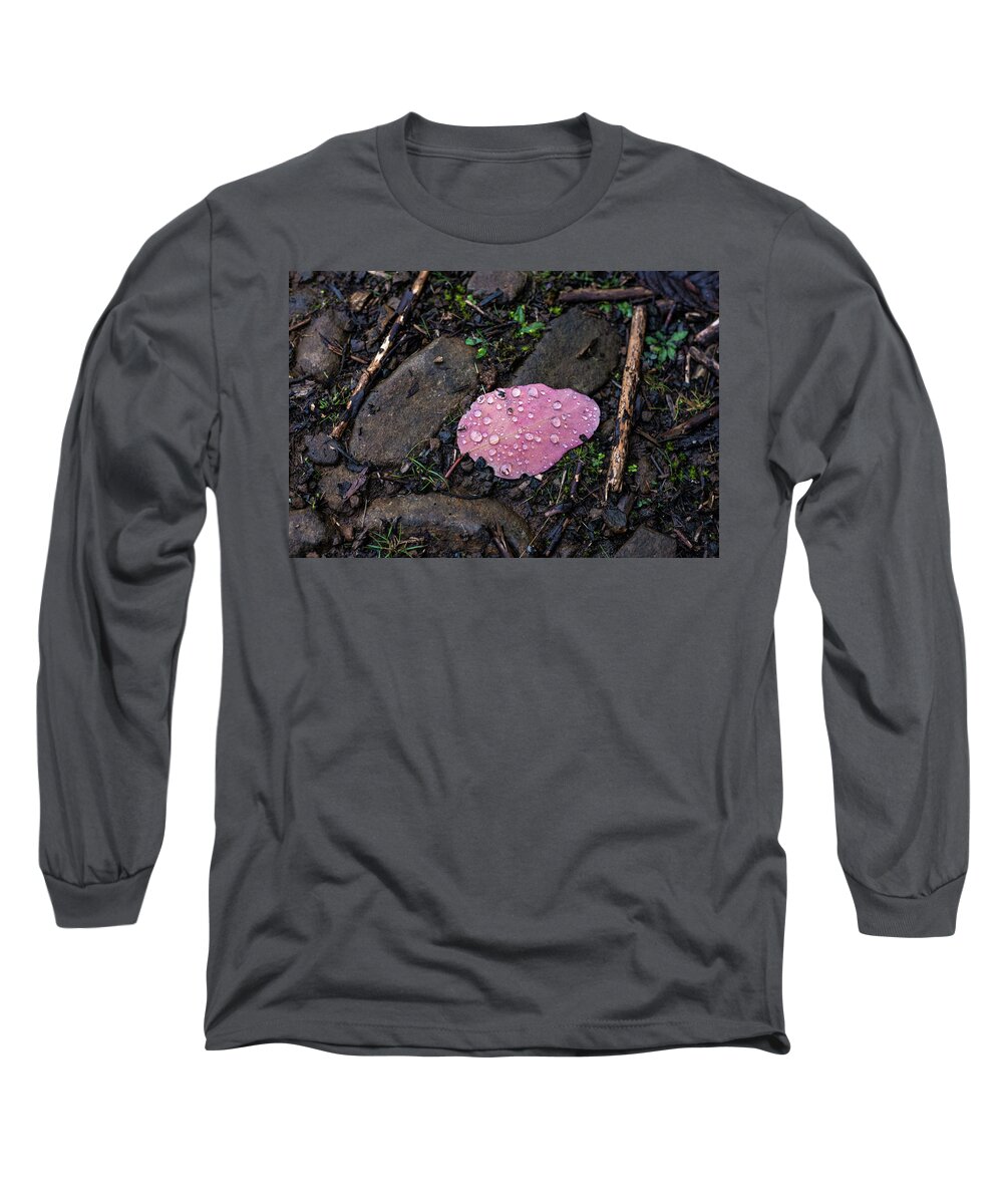 Magenta Long Sleeve T-Shirt featuring the photograph Baby Blue Gum leaf by Anthony Davey