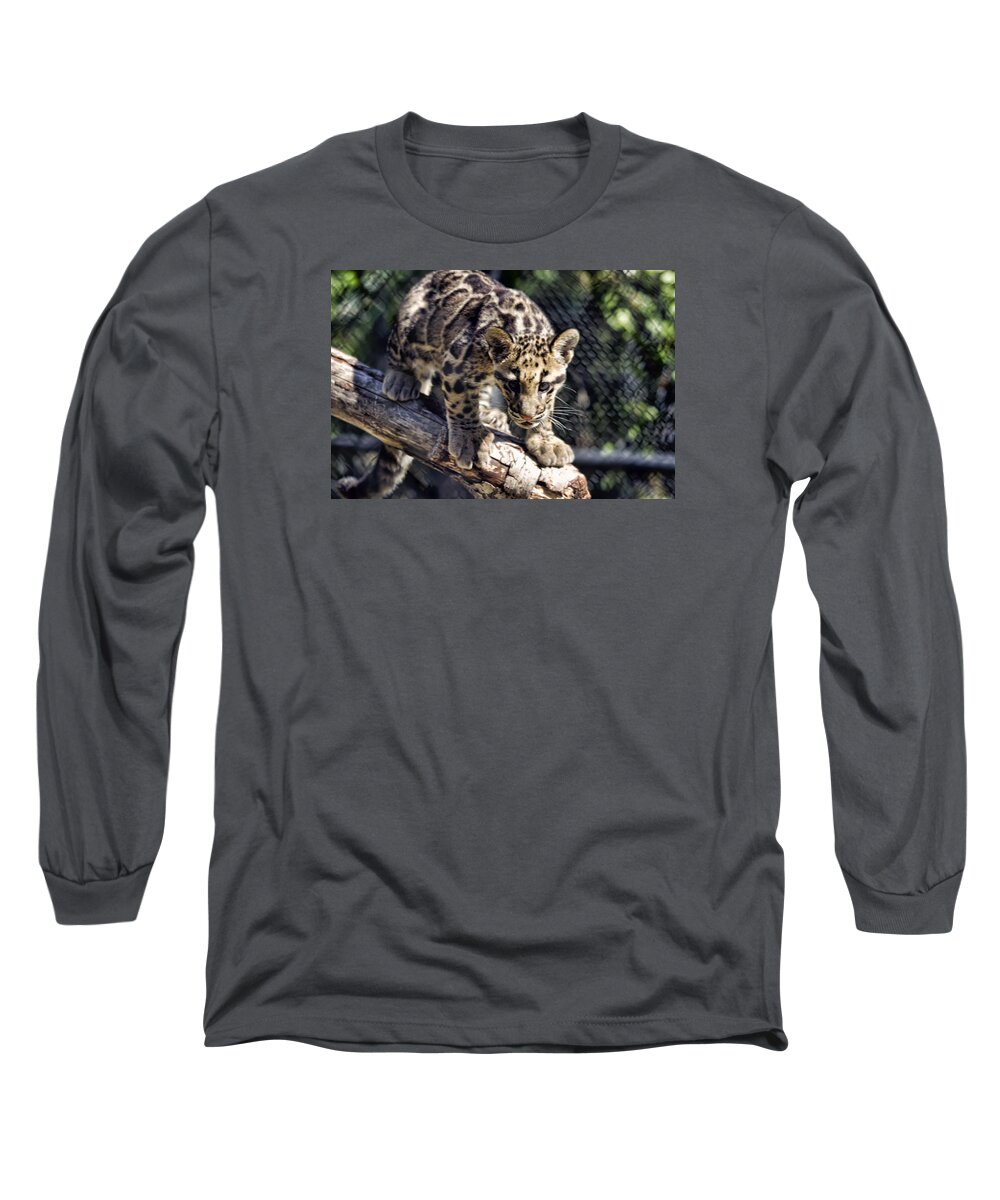 Brad Granger Long Sleeve T-Shirt featuring the photograph Baby Clouded Leopard by Brad Granger