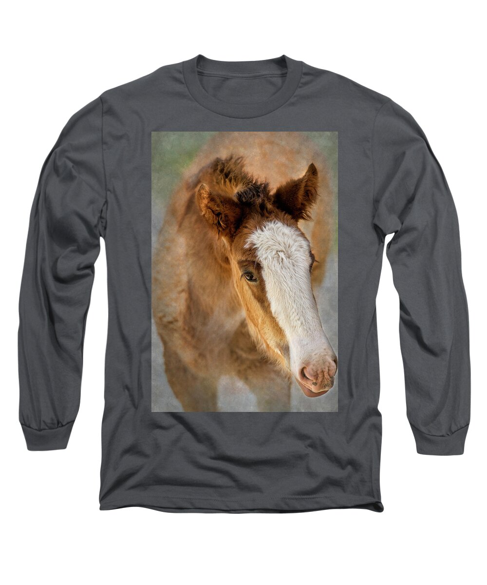 Animal Long Sleeve T-Shirt featuring the photograph Baby Clydesdale Closeup by Bill and Linda Tiepelman