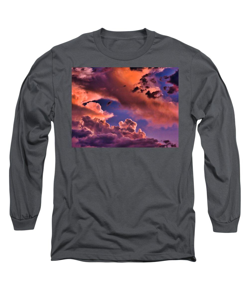 Arizona Long Sleeve T-Shirt featuring the photograph Baby Dragon's Fledgling Flight by Judy Kennedy