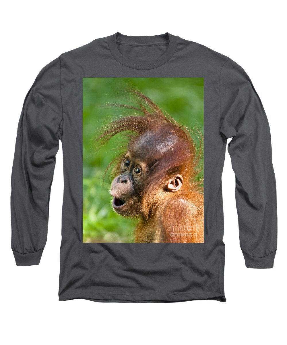 Asia Long Sleeve T-Shirt featuring the photograph Baby Orangutan by Andrew Michael
