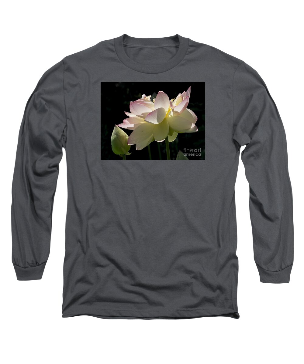 Flowers Long Sleeve T-Shirt featuring the photograph Backlit Lotus Blossom by Lili Feinstein