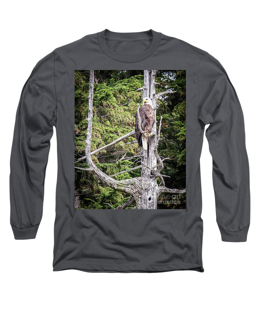 Bald Eagle Long Sleeve T-Shirt featuring the photograph Bald Eagle, Ketchikan Alaska by Randy Jackson