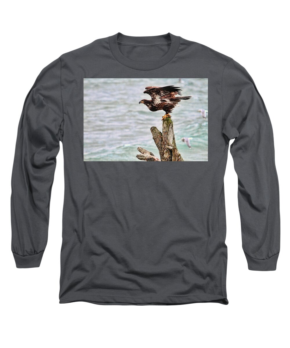 Bald Eagle Long Sleeve T-Shirt featuring the photograph Bald Eagle on Driftwood at the Beach by Peggy Collins