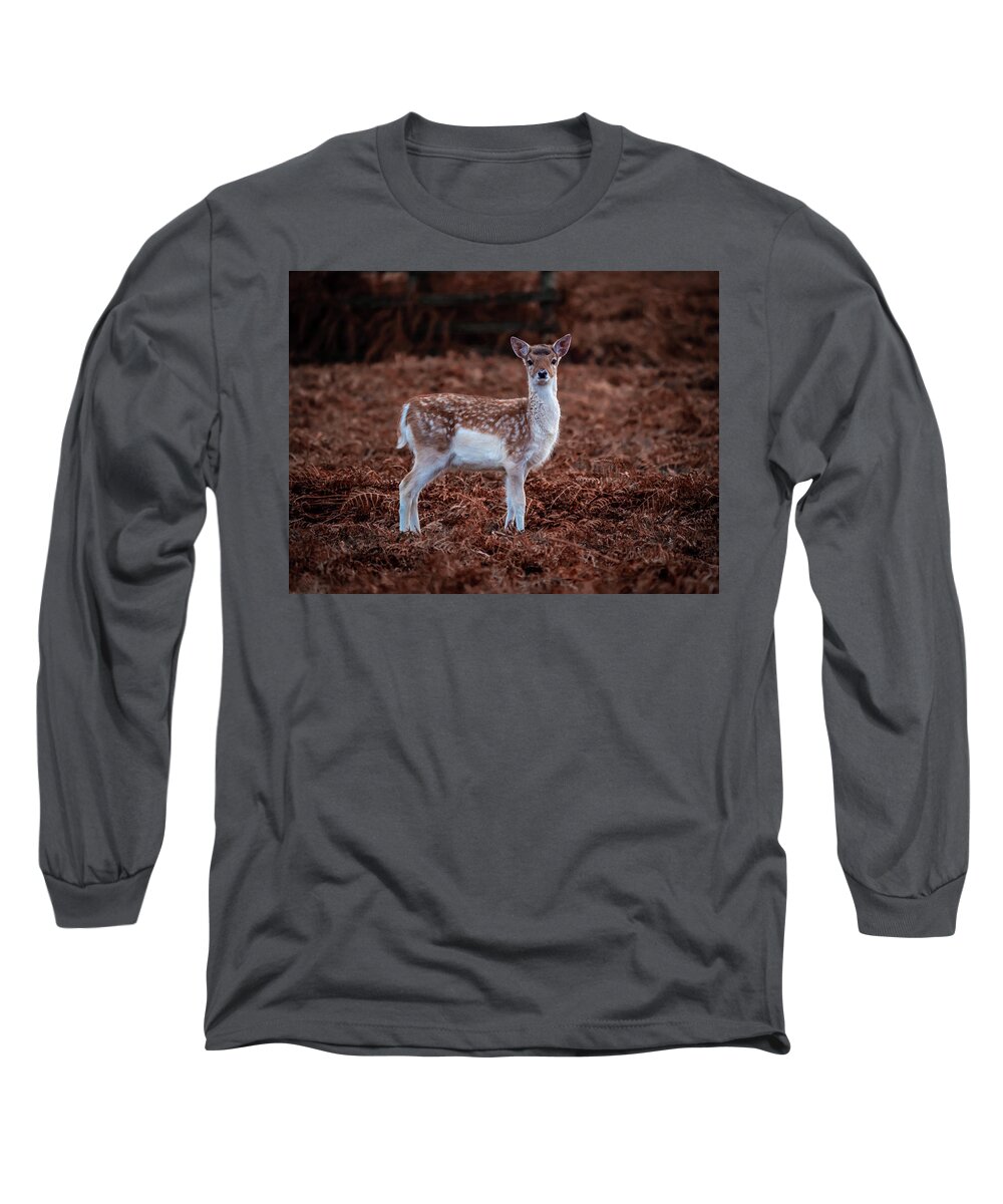 Deer Long Sleeve T-Shirt featuring the photograph Bambi in the Bracken by Nick Bywater