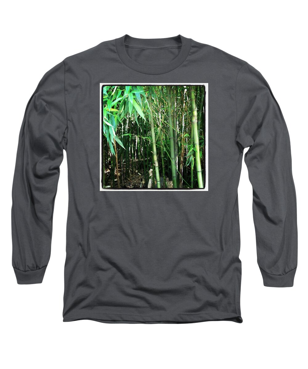Bamboo Long Sleeve T-Shirt featuring the photograph Bamboo by Will Felix