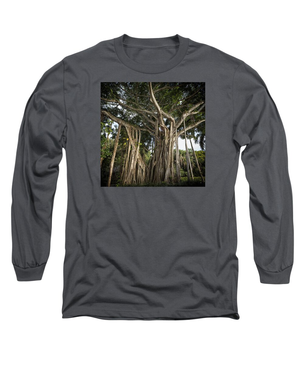 Banyan Long Sleeve T-Shirt featuring the photograph Banyan Tree at Bonnet House by Belinda Greb