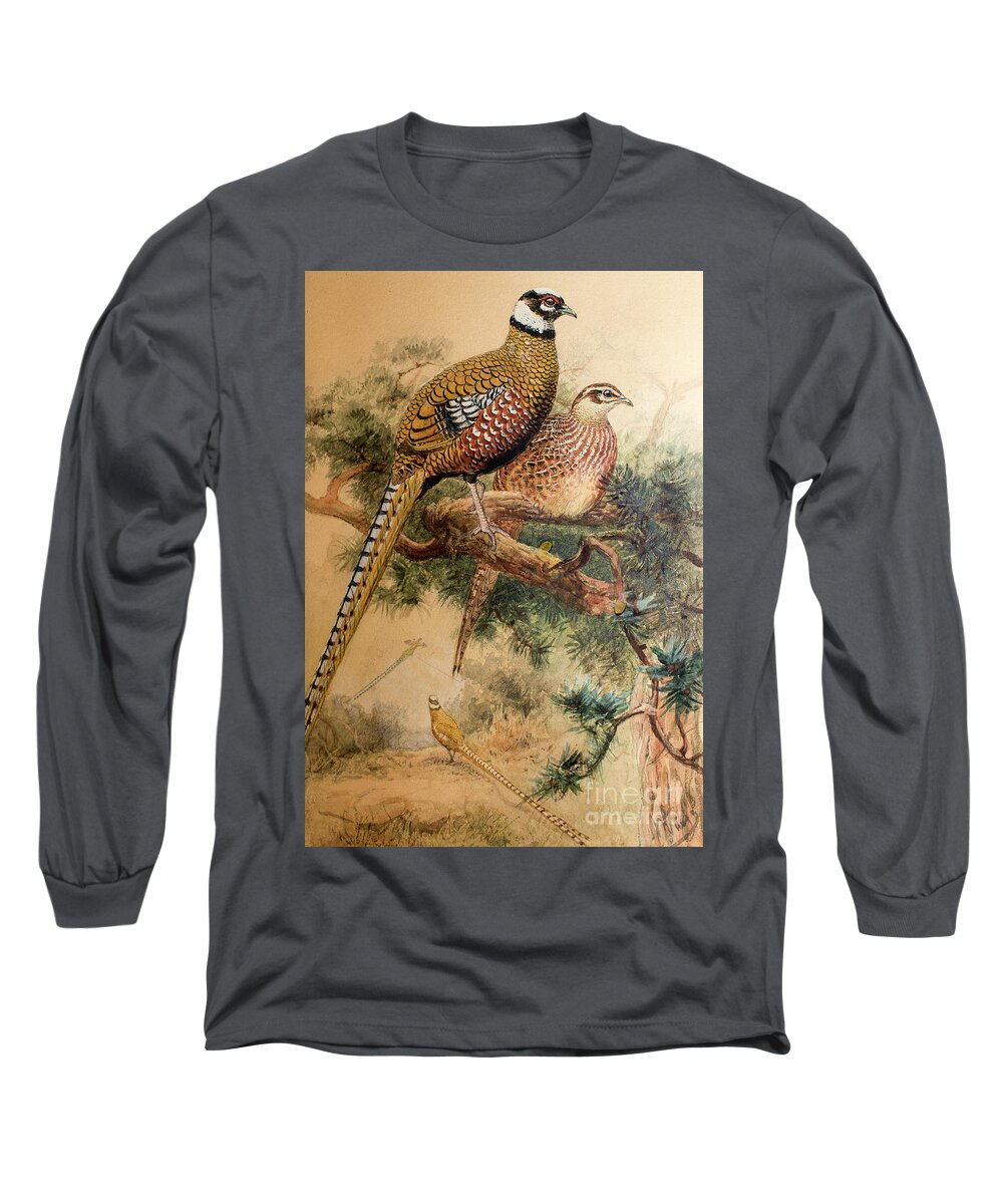 Pheasant Long Sleeve T-Shirt featuring the painting Bar-tailed Pheasant by Joseph Wolf