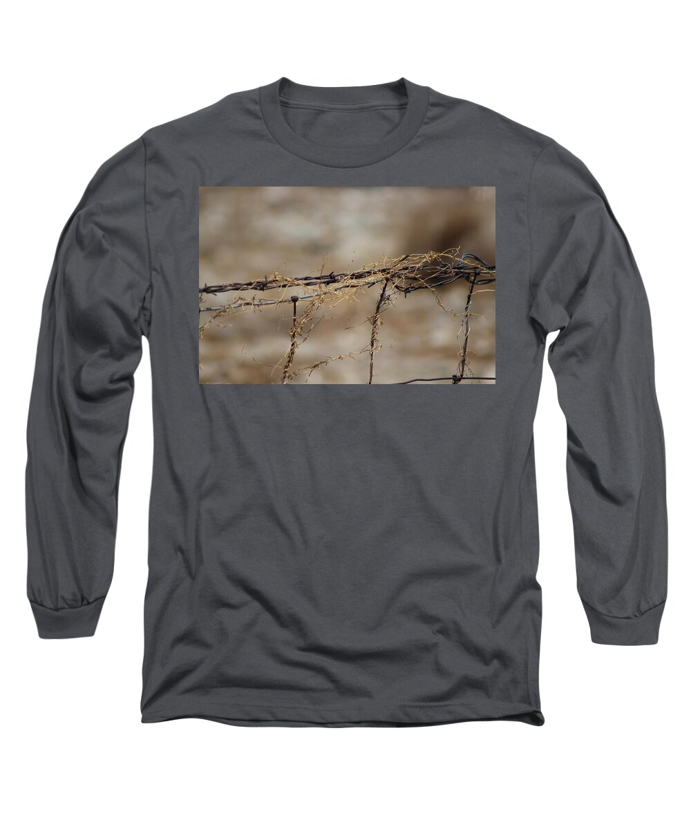 Golden Long Sleeve T-Shirt featuring the photograph Barbed Wire Entwined with Dried Vine in Autumn by Colleen Cornelius