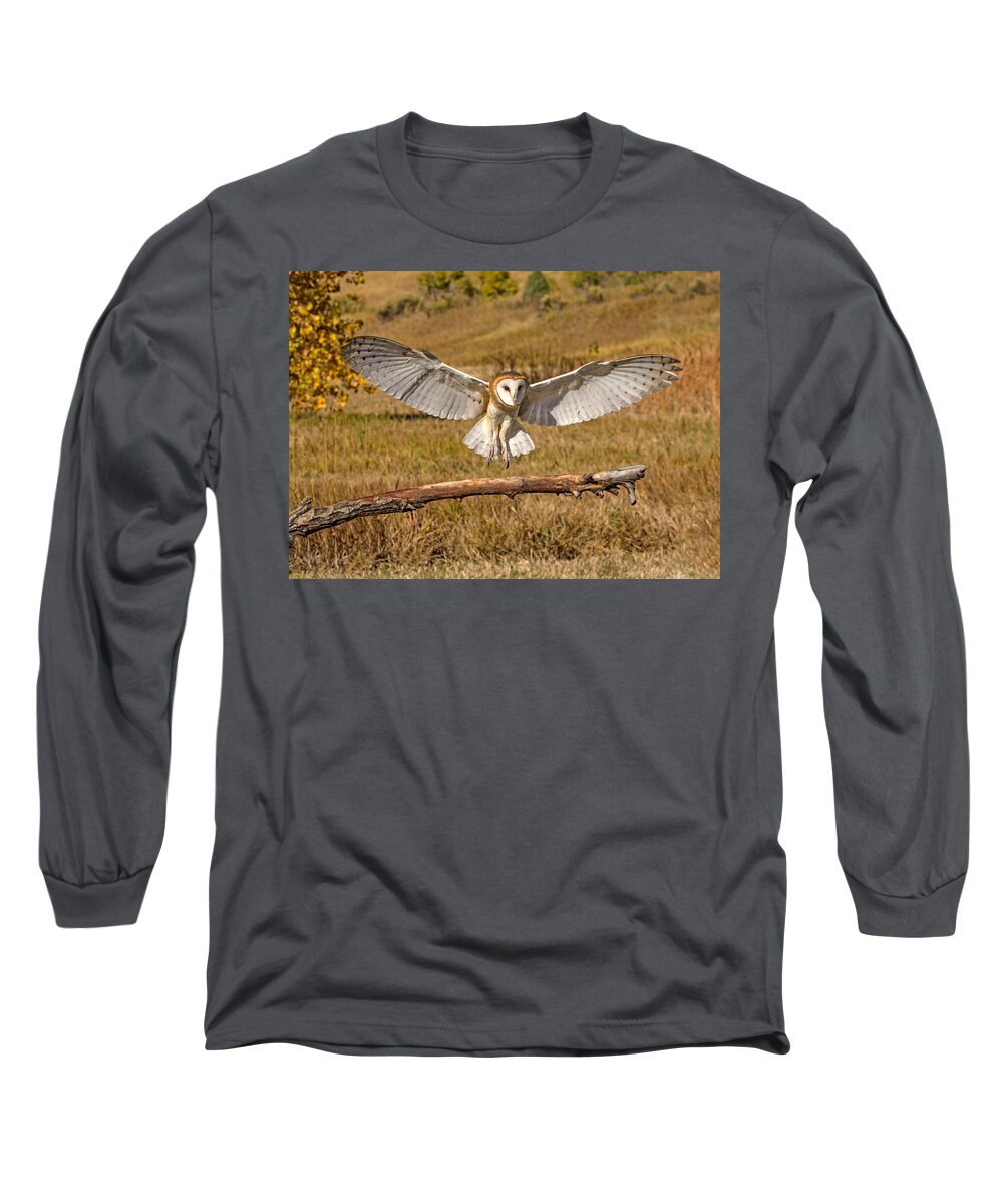 Barn Owl Long Sleeve T-Shirt featuring the photograph Barn Owl Landing by Dawn Key
