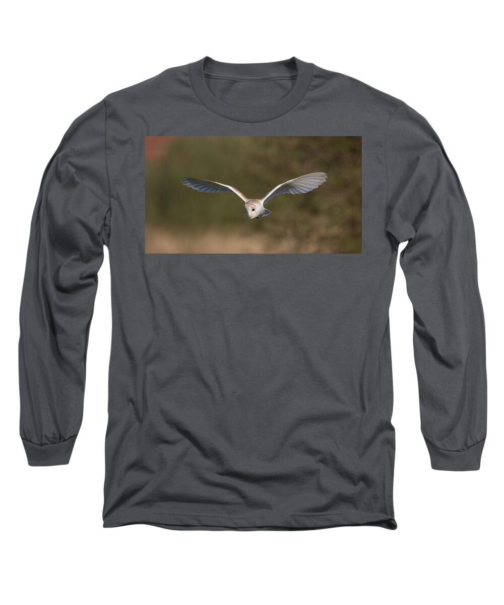 Barn Owl Long Sleeve T-Shirt featuring the photograph Barn Owl Quartering by Pete Walkden