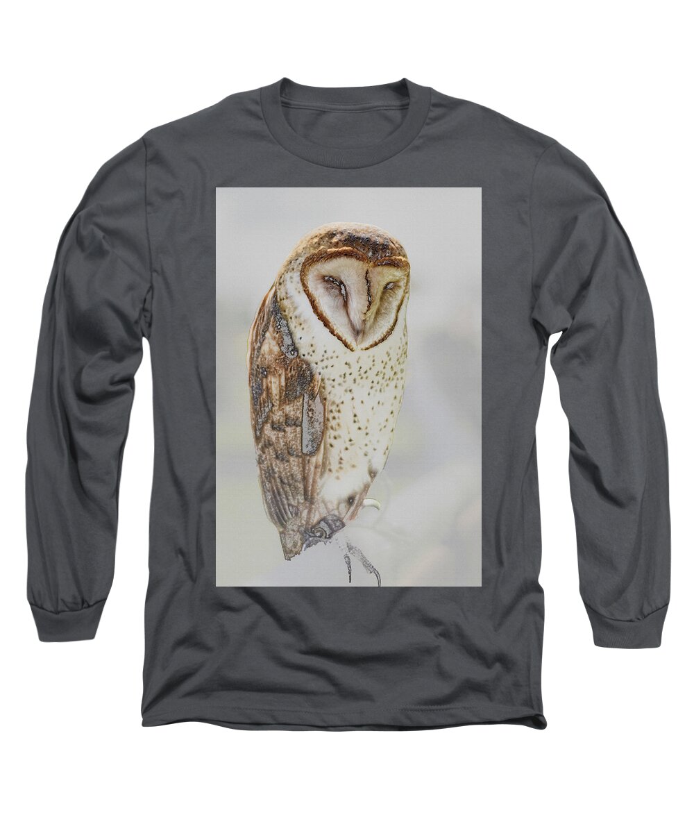 Barn Owl Long Sleeve T-Shirt featuring the photograph Barn Owl by Robert Mitchell