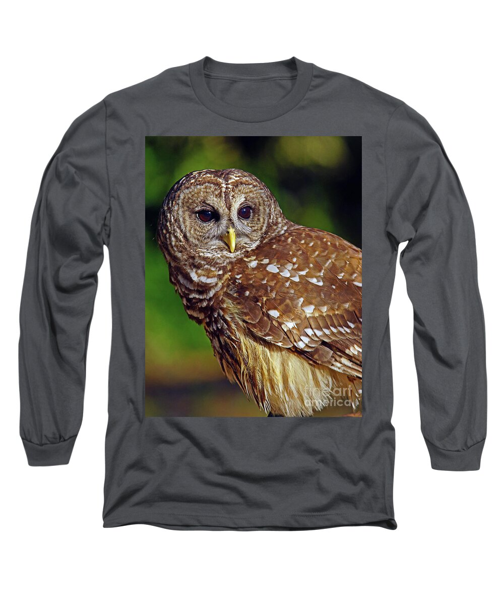 Owl Long Sleeve T-Shirt featuring the photograph Barred Owl by Larry Nieland