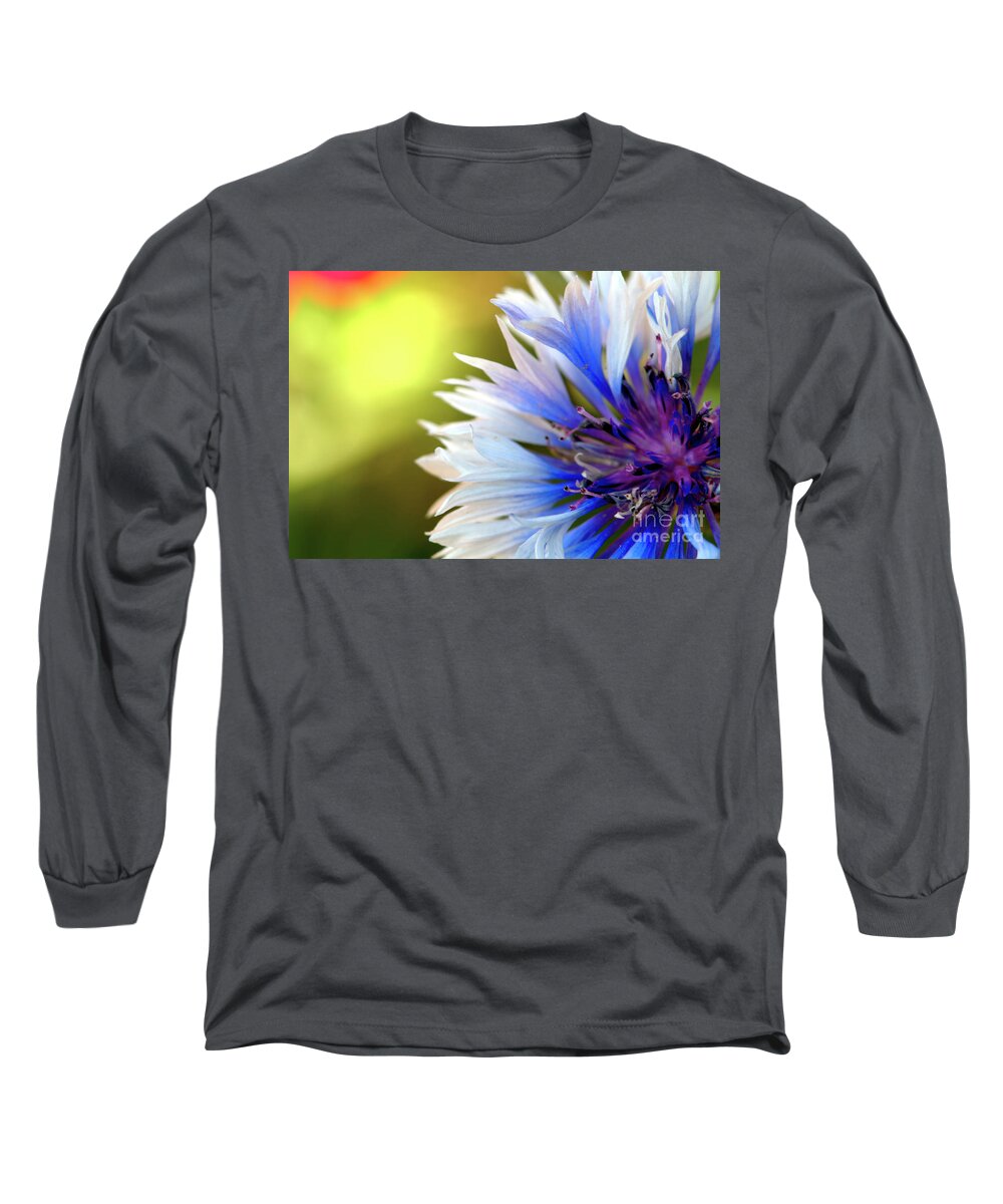 Macro.flower Long Sleeve T-Shirt featuring the photograph Batchelors Blue and white button by Baggieoldboy