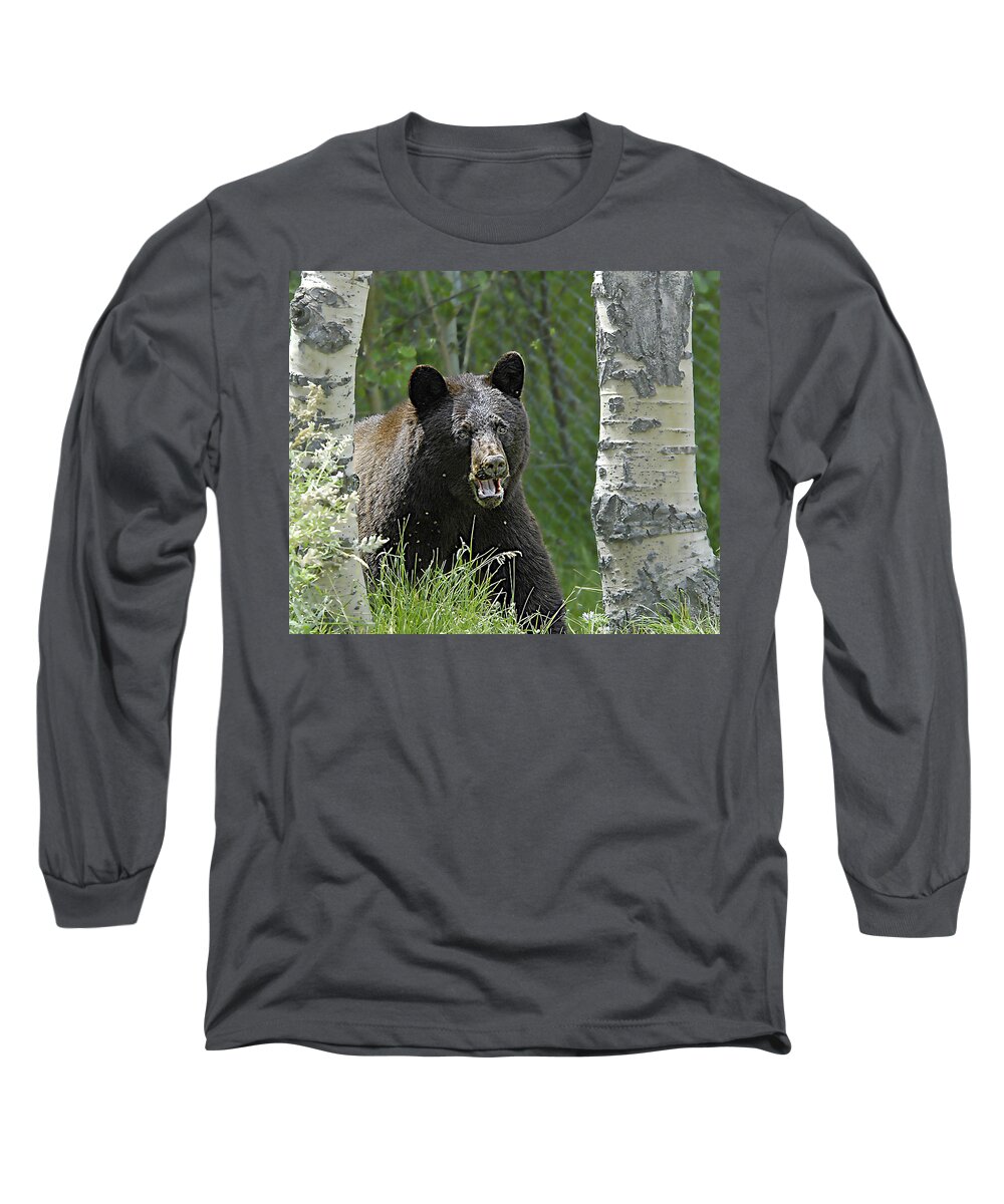 Bear Long Sleeve T-Shirt featuring the photograph Bear In Yard by Gary Beeler