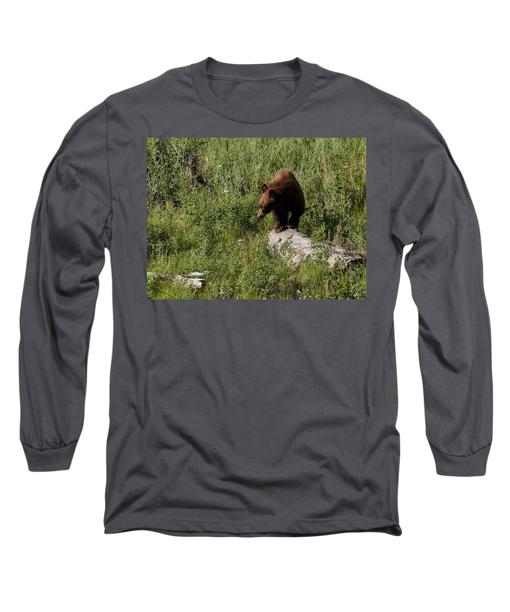 Bear Long Sleeve T-Shirt featuring the photograph Bear1 by Loni Collins