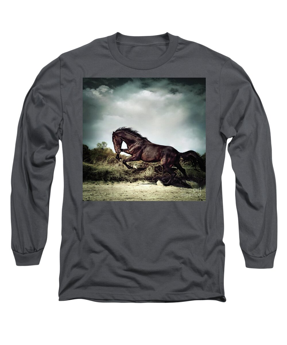 Horse Long Sleeve T-Shirt featuring the photograph Beautiful black stallion horse running on the stormy sky by Dimitar Hristov