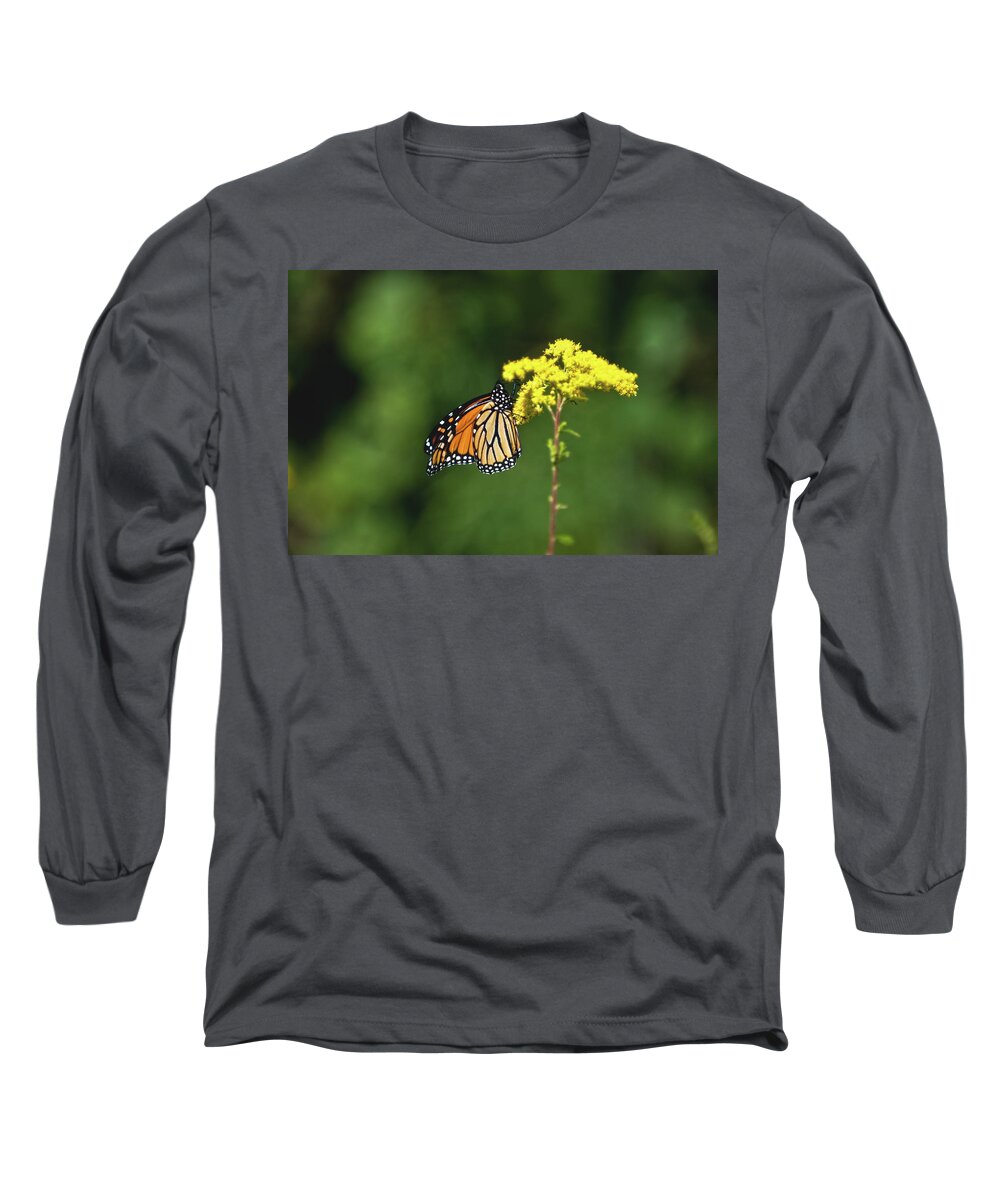 Butterfly Long Sleeve T-Shirt featuring the photograph Beautiful Combination by Paul Mangold