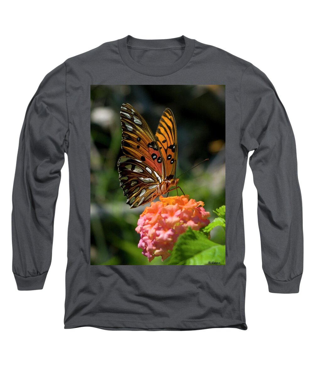 Butterfly Long Sleeve T-Shirt featuring the photograph Beautiful Lady by Bess Carter