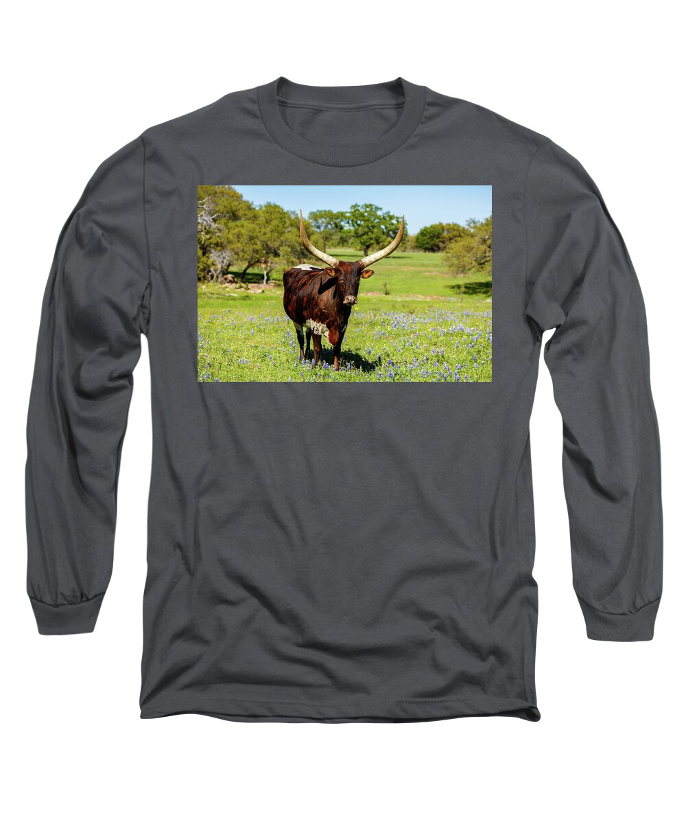 African Breed Long Sleeve T-Shirt featuring the photograph Beautiful longhorn bull by Raul Rodriguez