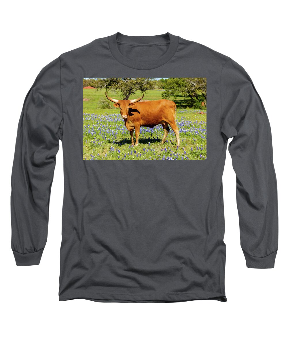 African Breed Long Sleeve T-Shirt featuring the photograph Beautiful longhorn cow by Raul Rodriguez