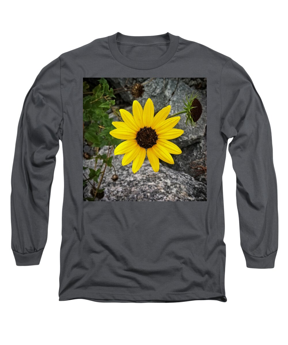 Nature Long Sleeve T-Shirt featuring the photograph Beauty and Stone by Nathan Little