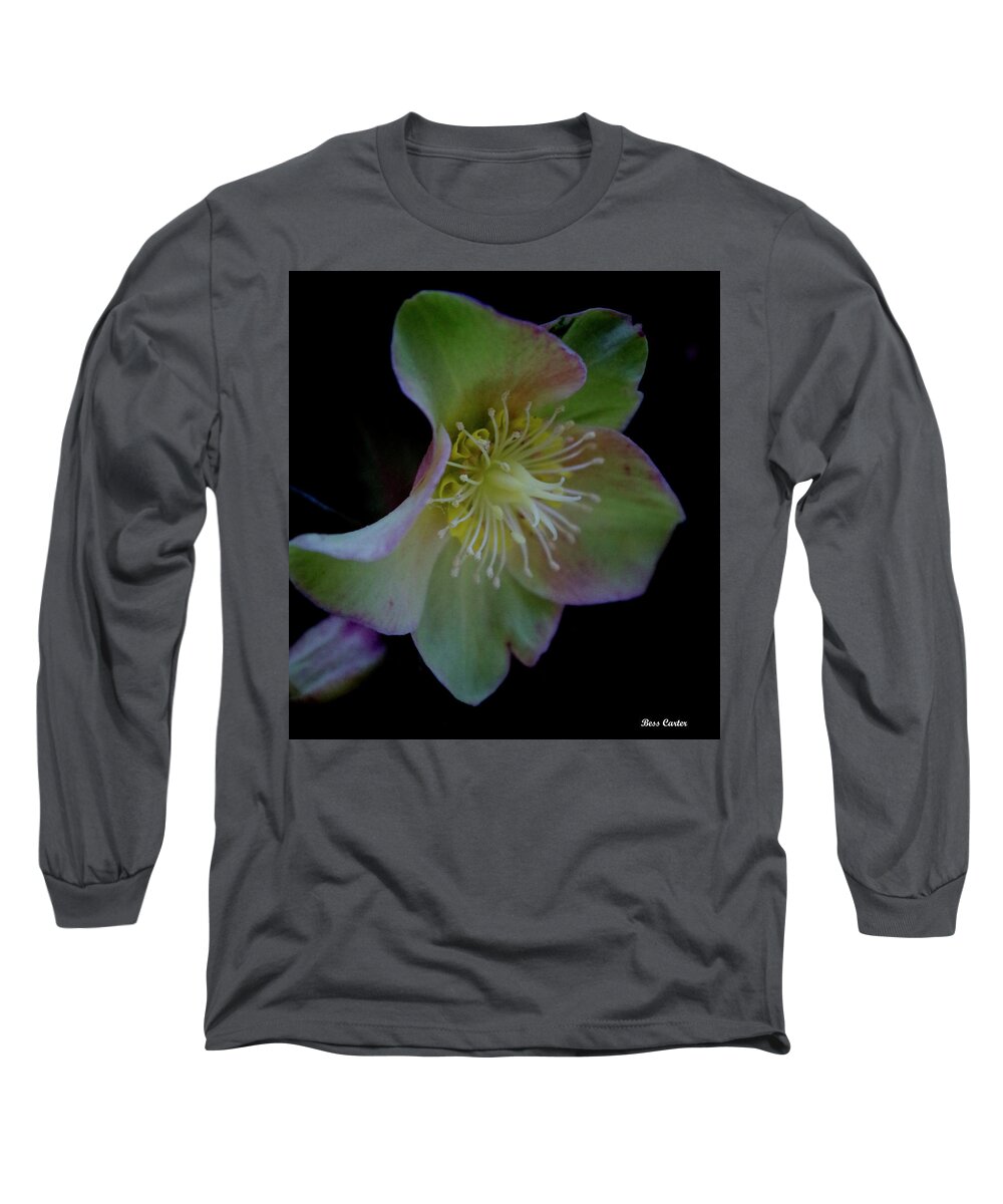Flower Long Sleeve T-Shirt featuring the photograph Beauty Awakens by Bess Carter