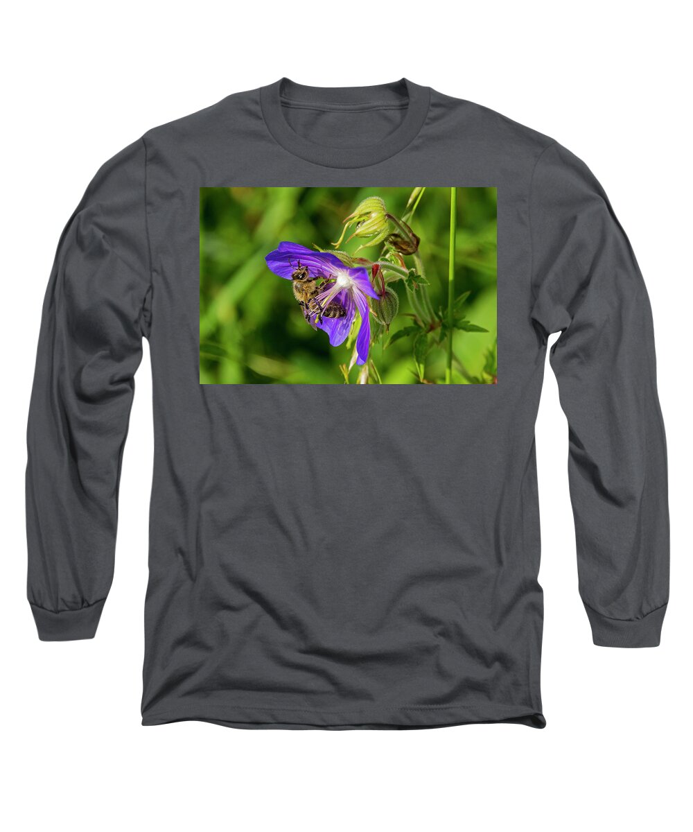 Nature Long Sleeve T-Shirt featuring the photograph Bee at work by Ulrich Burkhalter