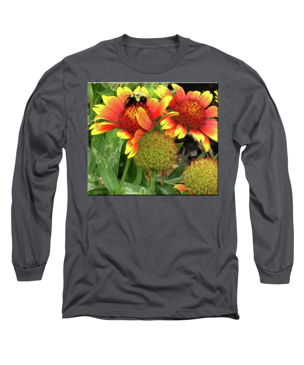 Floral Long Sleeve T-Shirt featuring the photograph Bee on colorful flowers by Mikki Cucuzzo