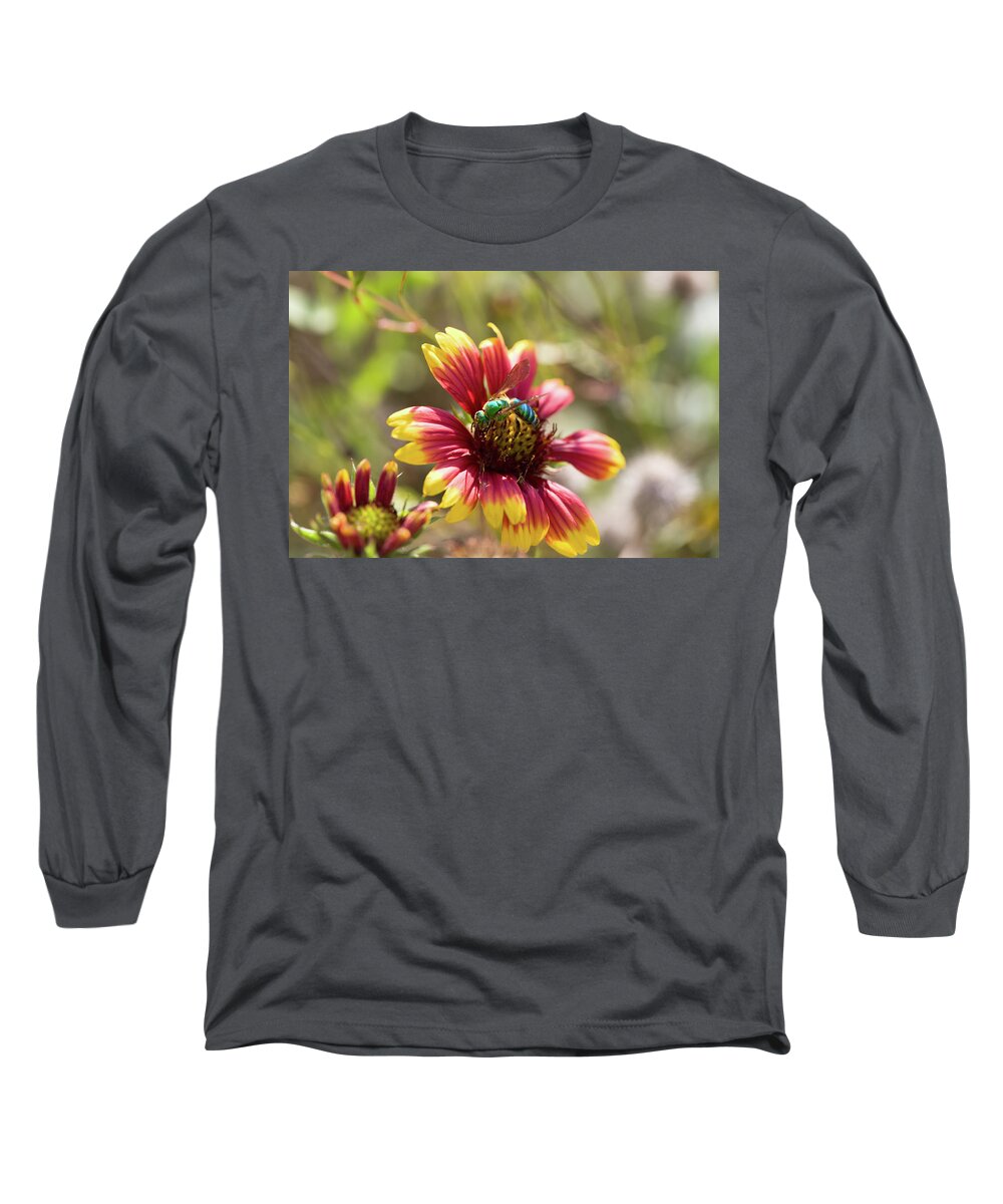 Agapostemon Long Sleeve T-Shirt featuring the photograph Bee on Gaillardia by Diane Macdonald
