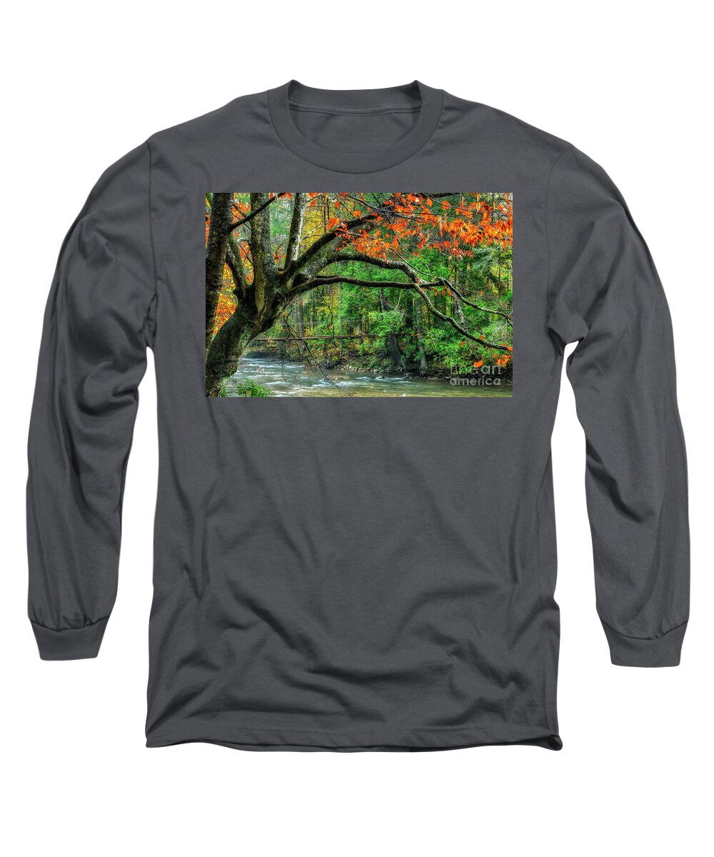 Elk River Long Sleeve T-Shirt featuring the photograph Beech Tree and Swinging Bridge by Thomas R Fletcher