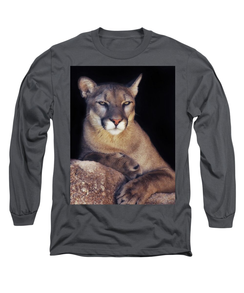 Mountain Lions Long Sleeve T-Shirt featuring the photograph Being Observant by Elaine Malott