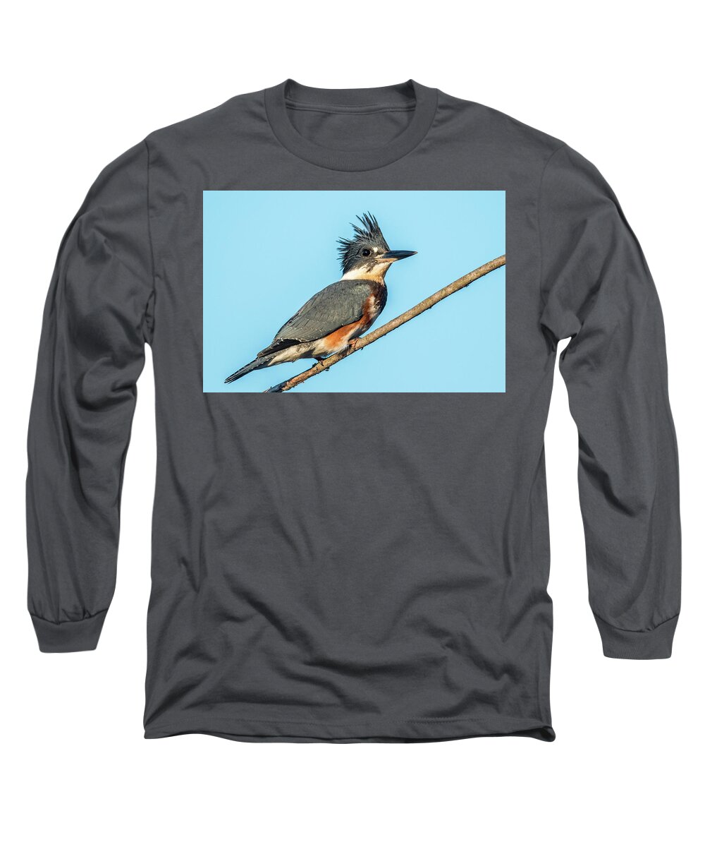 Belted Kingfisher Long Sleeve T-Shirt featuring the photograph Belted Kingfisher portrait by Paul Freidlund