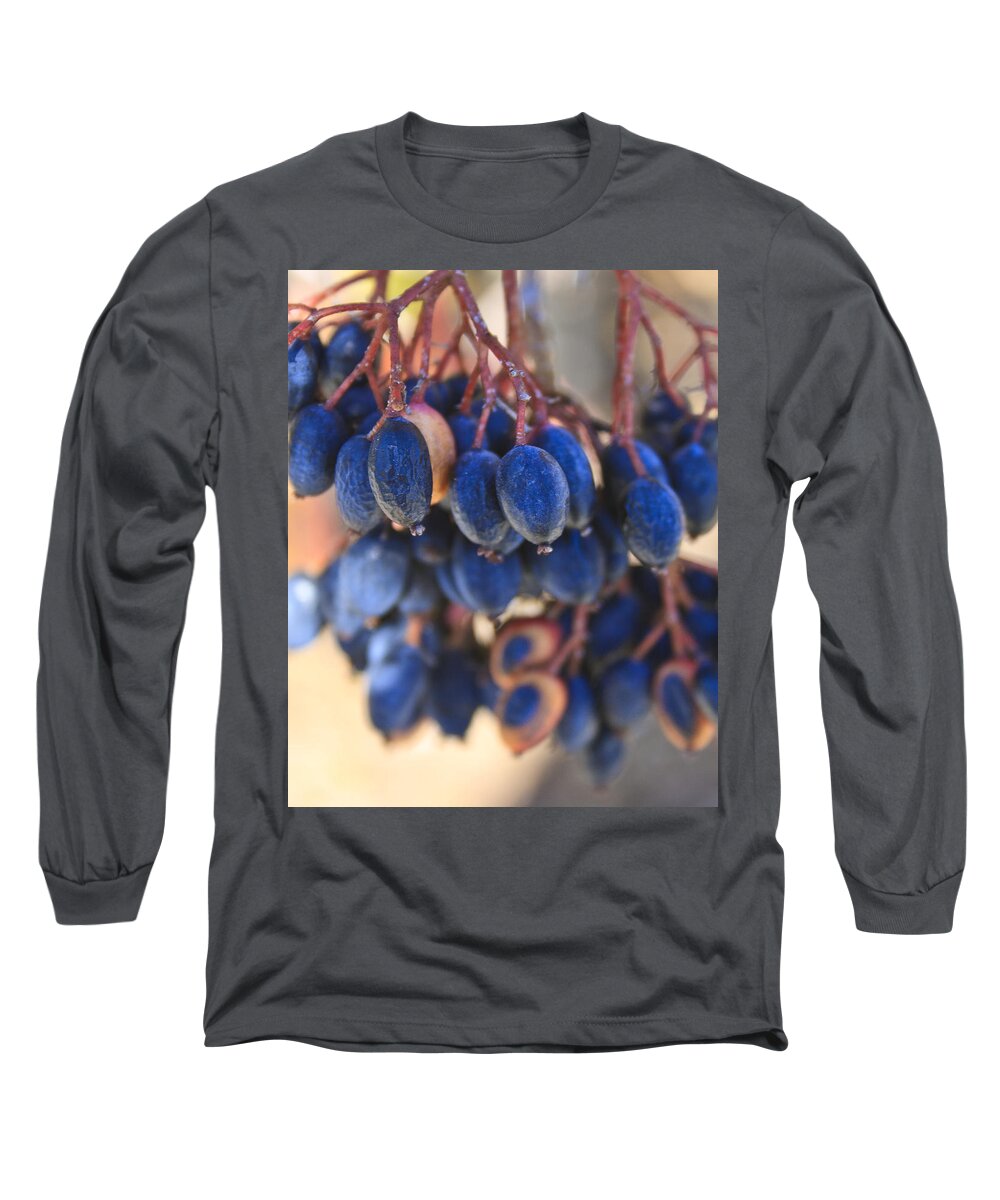 Berries Long Sleeve T-Shirt featuring the photograph Berries Blue Too by Scott Wood