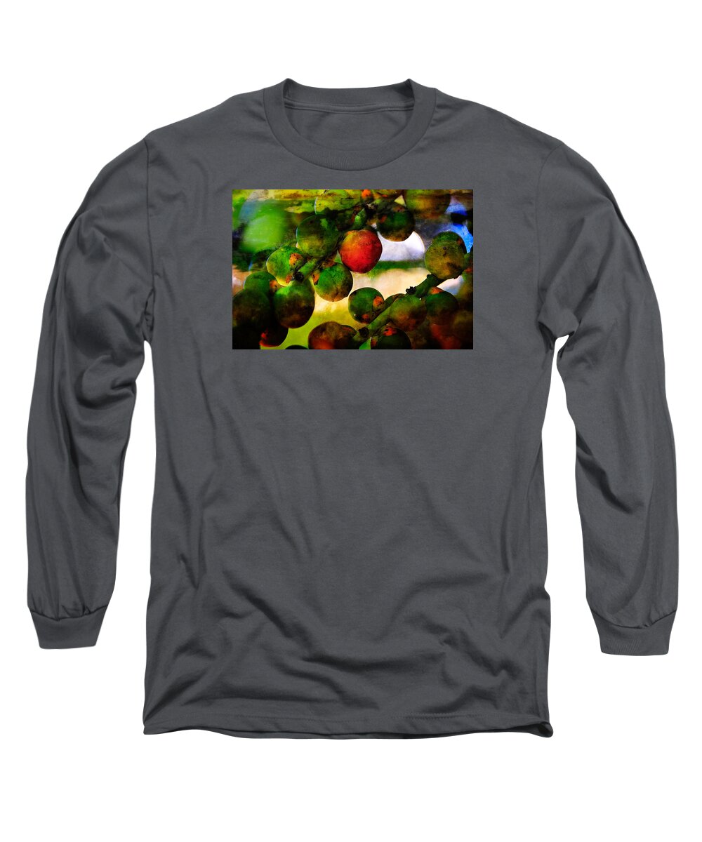 Berries Long Sleeve T-Shirt featuring the photograph Berries by Harry Spitz