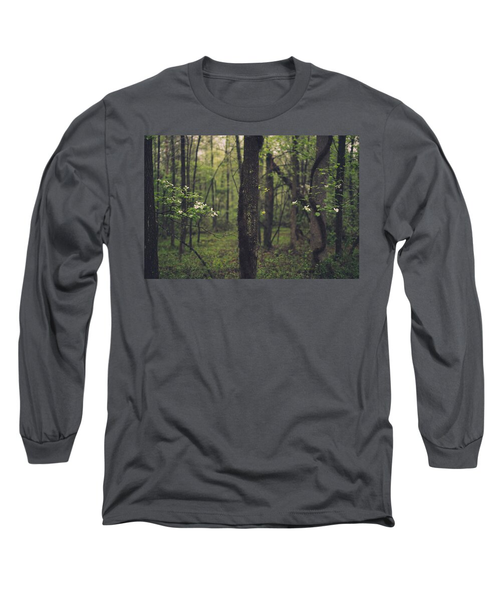 Dogwood Long Sleeve T-Shirt featuring the photograph Between The Dogwoods by Shane Holsclaw