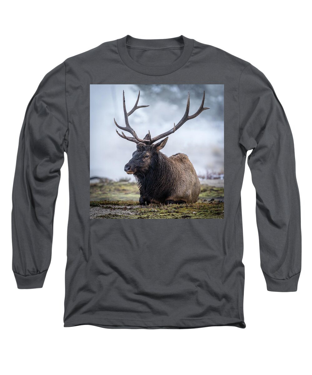 Landscape Long Sleeve T-Shirt featuring the photograph Big Boy by Gary Migues