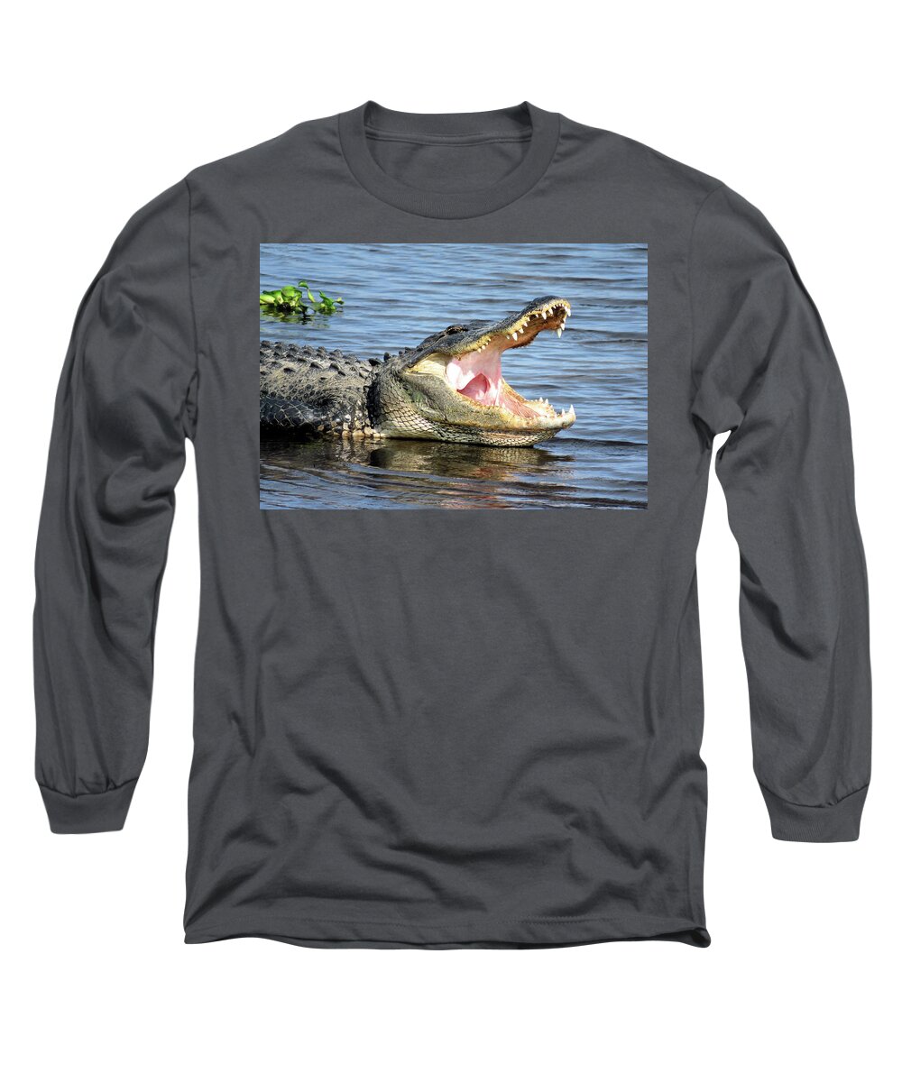 Alligator Long Sleeve T-Shirt featuring the photograph Big Mouth by Rosalie Scanlon