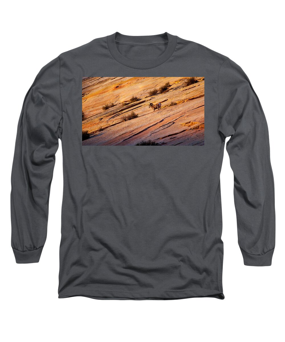 Bighorn Sheep Long Sleeve T-Shirt featuring the photograph Bighorn Sheep by Jackie Russo